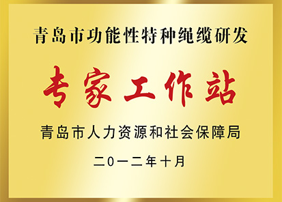 青島功能性特種繩纜研發專家工作站