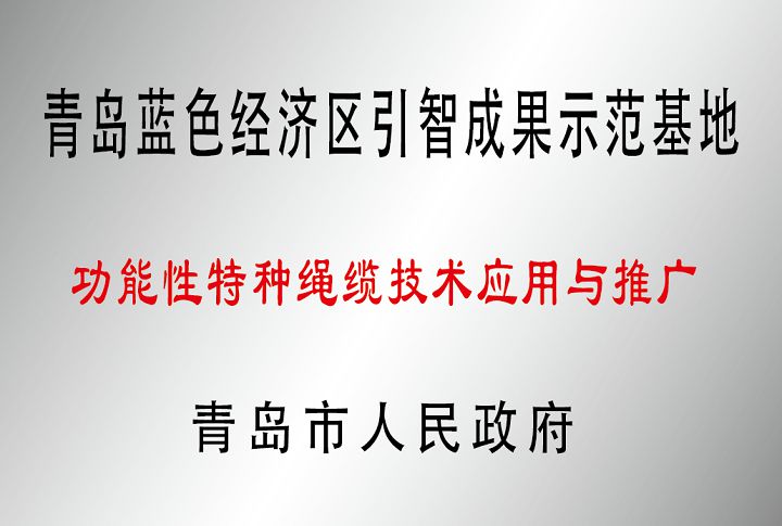 青島市功能性特種繩纜技術應用與推廣引智成果示范基地.jpg